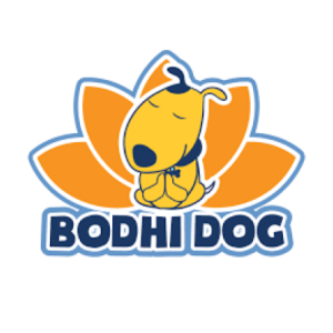 Bodhi Dog